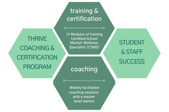 12 Modules of training Certified School Mental-Wellness Specialist (CSMS) (1)